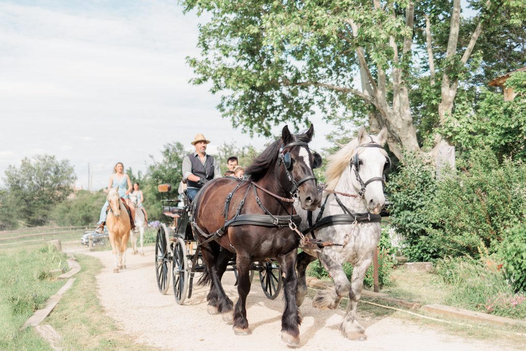 arrivée des Mariés en Attelage au Domaine La Fontaine